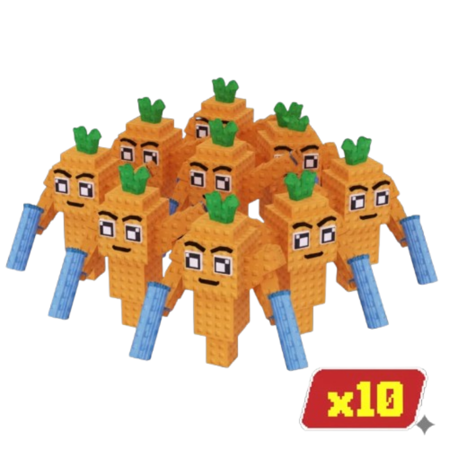 x10 Mr Carrot Bundle