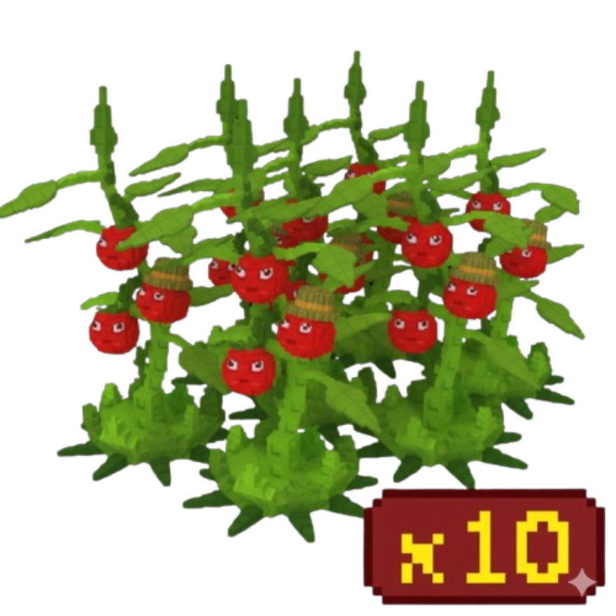 x10 Tomatrio Bundle