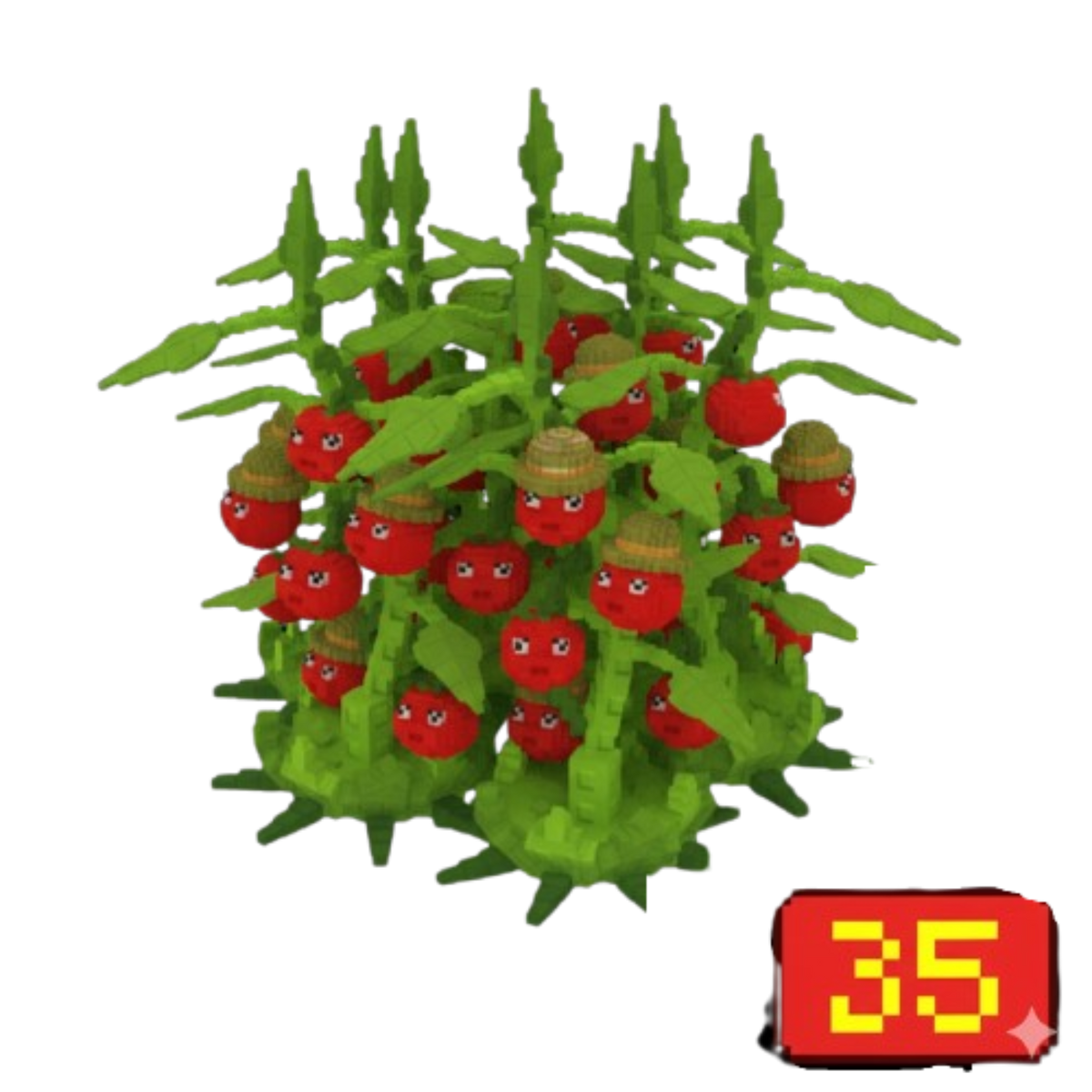 x35 Tomatrio Bundle