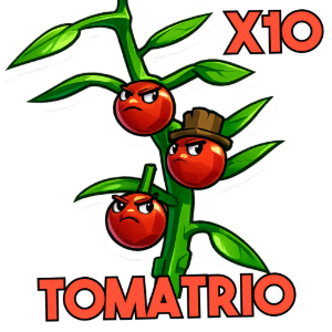 x10 Tomatrio Bundle
