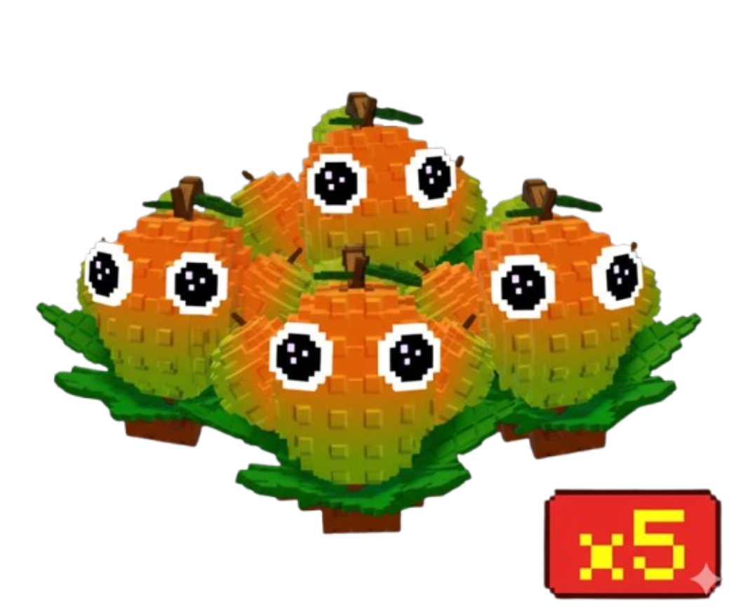 x5 Mango Bundle
