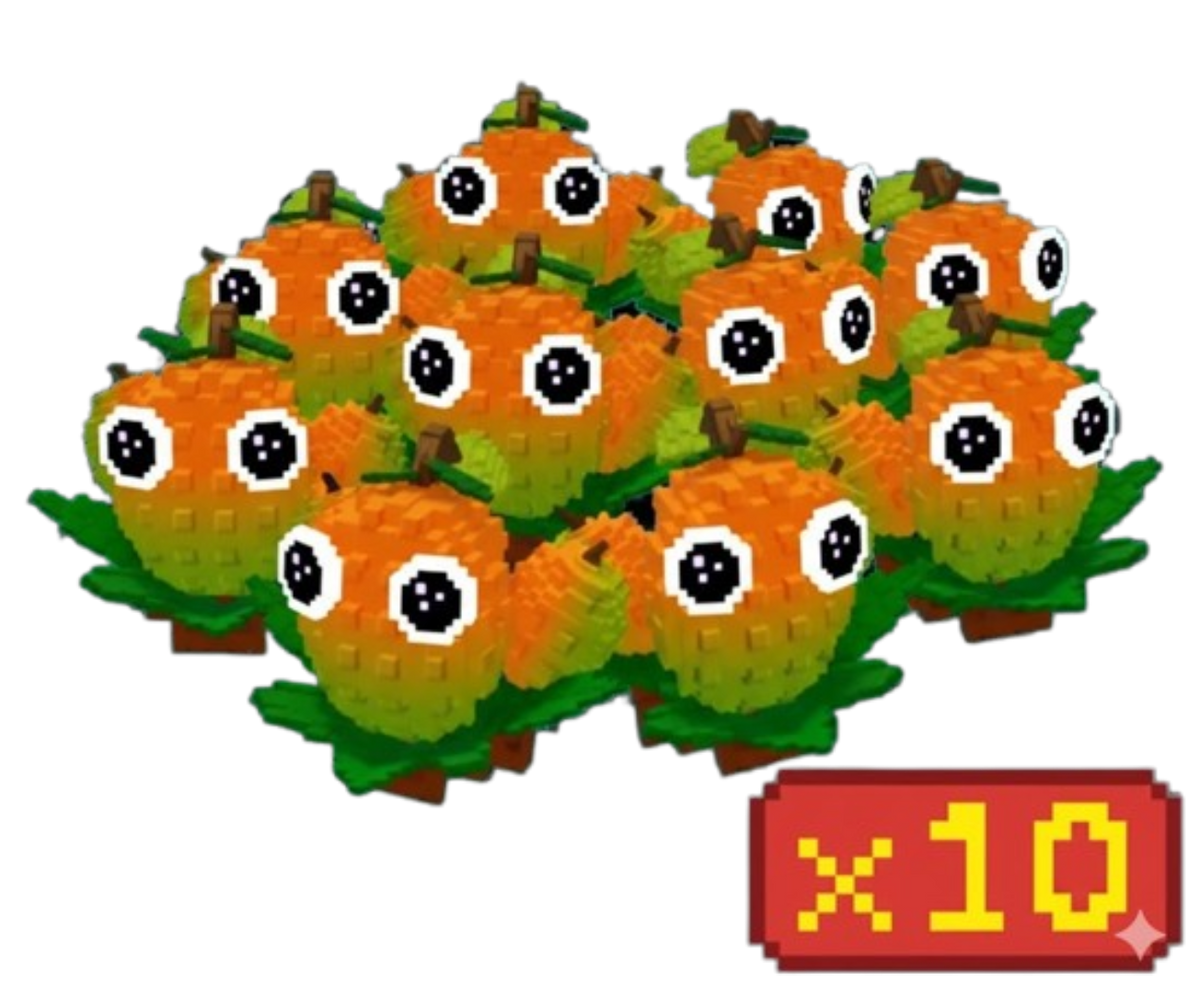 x10 Mango Bundle