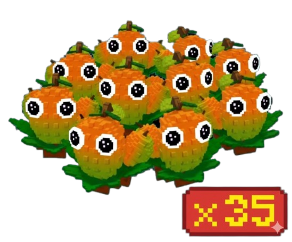 x35 Mango Bundle