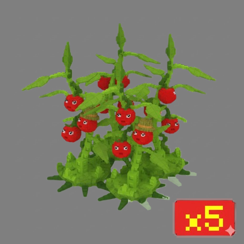 x5 Tomatrio Bundle